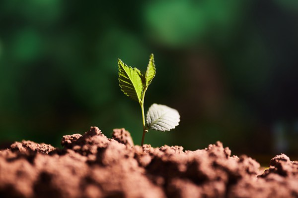 精準溯源！南京積極探索農業(yè)面源污染防治新模式