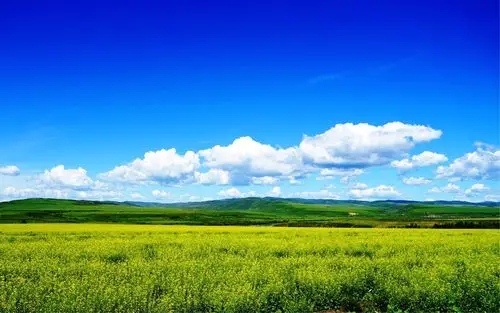 深港強(qiáng)化生態(tài)環(huán)境領(lǐng)域規(guī)則銜接與機(jī)制對(duì)接，攜手共赴美麗中國(guó)先行區(qū)之約 