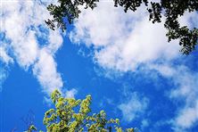 迎“藍”而上！直擊攀枝花、德陽、內江大氣攻堅現場