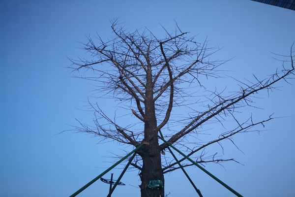 提“氣”質(zhì)丨打造2.0版本，實(shí)現(xiàn)“大數(shù)據(jù)”精準(zhǔn)治污