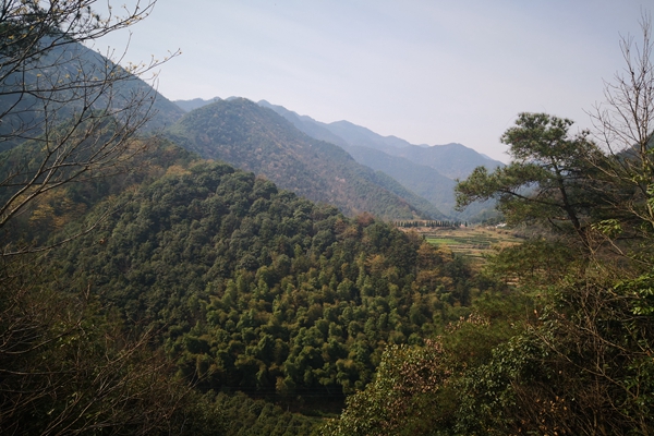 甘肅“五棋聯動”筑牢西部生態屏障，PM2.5平均濃度連續兩年同比下降